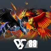 Sabong - Traditional Filipino Cockfighting
